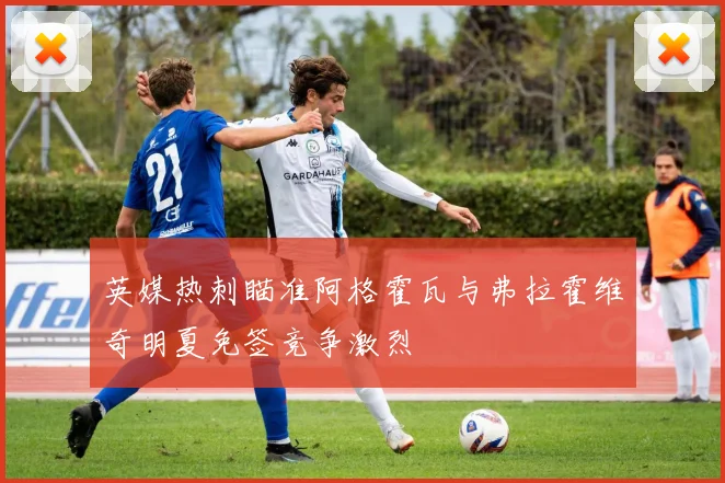 英媒热刺瞄准阿格霍瓦与弗拉霍维奇明夏免签竞争激烈