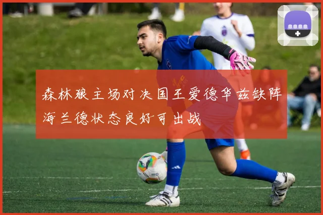森林狼主场对决国王爱德华兹缺阵海兰德状态良好可出战