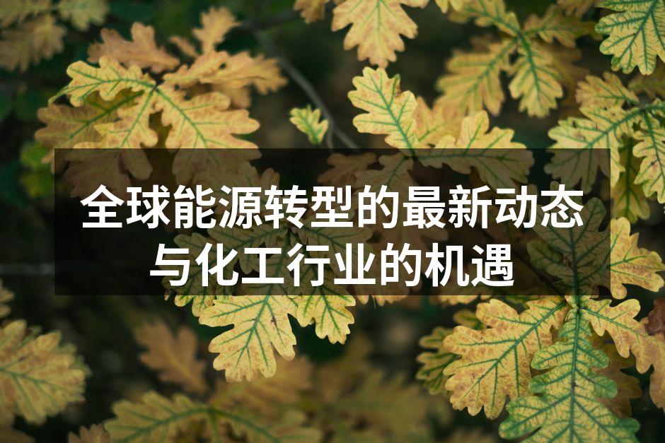 全球能源转型的最新动态与化工行业的机遇